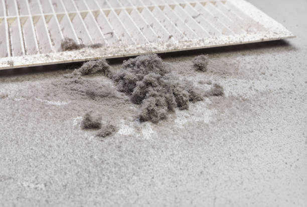 Best HVAC Air Duct Cleaning  in Genesee, CO